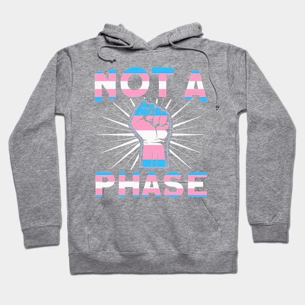 LGBT Pride Month Not a phase Trans Gay Pride Hoodie by Toeffishirts